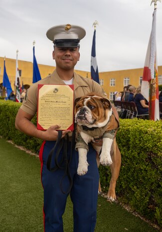U.S. Marine Corps Cpl. Joshua Dreher, a combat graphics specialist with Marine Corps Recruit Depot San Diego, and Pfc. Bruno, the Depot mascot, pose for a photo after Bruno's promotion, Friday Sept. 22, 2023. Bruno was named in commemoration of Maj. Gen. Bruno Hochmuth, who at the time of his death was the first general officer killed during the Vietnam War. (U.S. Marine Corps photo by Sgt. Jesse K. Carter-Powell)