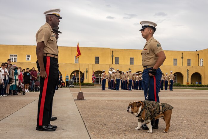 U.S. Marine Corps Brig. Gen. James A. Ryans, the commanding General of Marine Corps Recruit Depot San Diego, Cpl. Joshua Dreher, a combat graphics specialist with MCRD San Diego, and Pfc. Bruno, the Depot mascot stand at the position of attention during the promotion ceremony of Pfc. Bruno, Friday, Sept. 22, 2023. Bruno was named in commemoration of Maj. Gen. Bruno Hochmuth, who at the time of his death was the first general officer killed during the Vietnam War. (U.S. Marine Corps photo by Sgt. Jesse K. Carter-Powell)