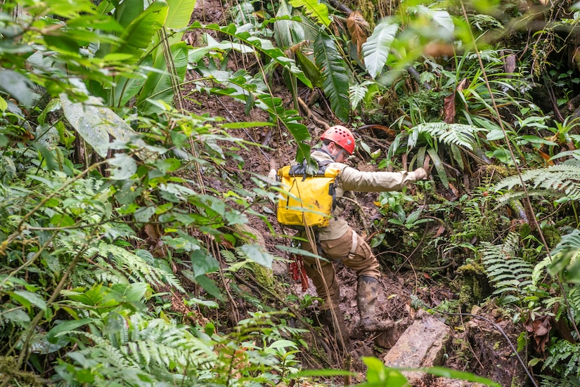 A man rappels down a slope amid vegetation.