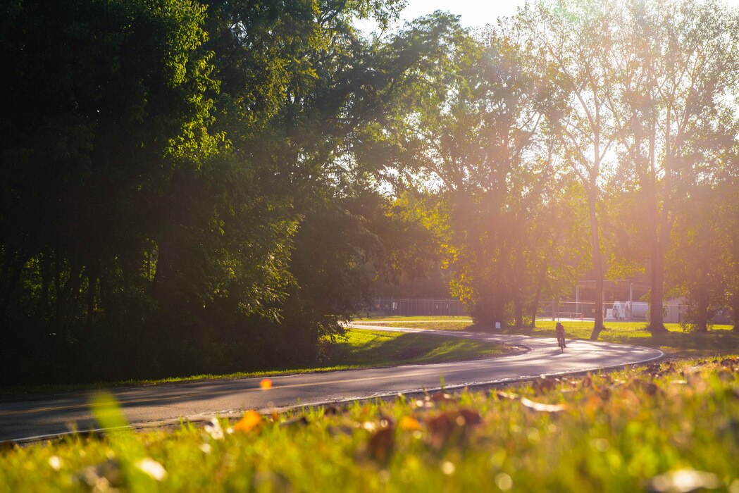 A biker rounds a corner on a road with the sunlight shining down through the trees.