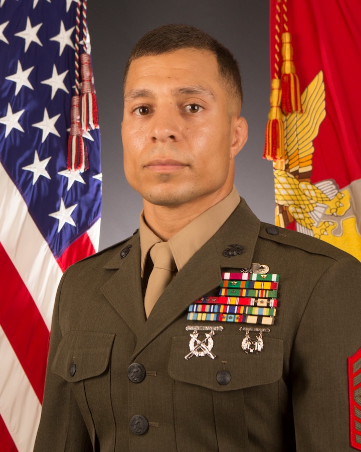 SgtMaj Sandlin Command Photo
