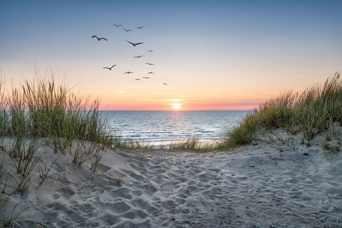 sand and grass overlooking beach with sunset and birds in the air