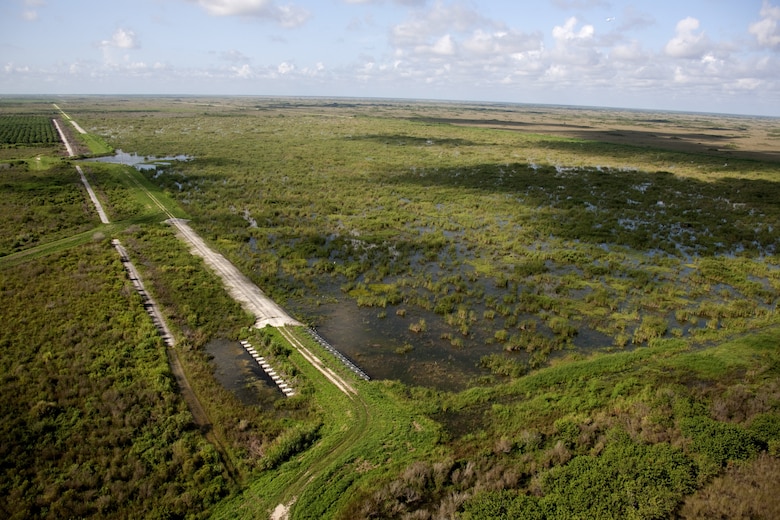 South Detention Area wetlands near the S-332C Pump Station discharge outlet