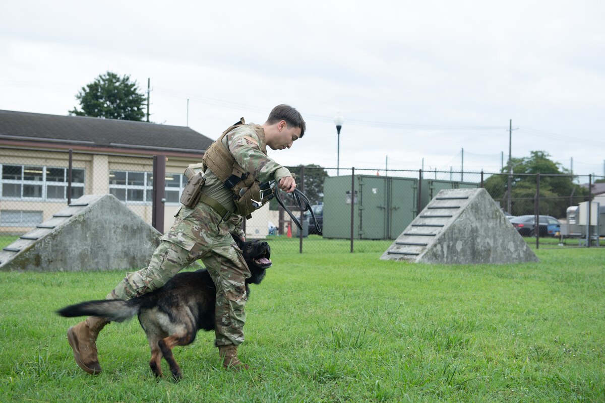A military man and a dog do a training exercise.