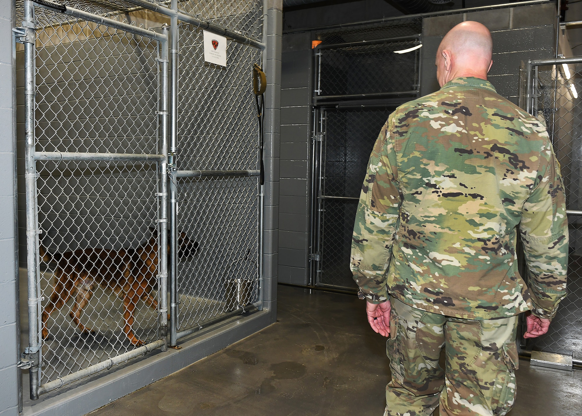 Airmen tours military working dogs kennel