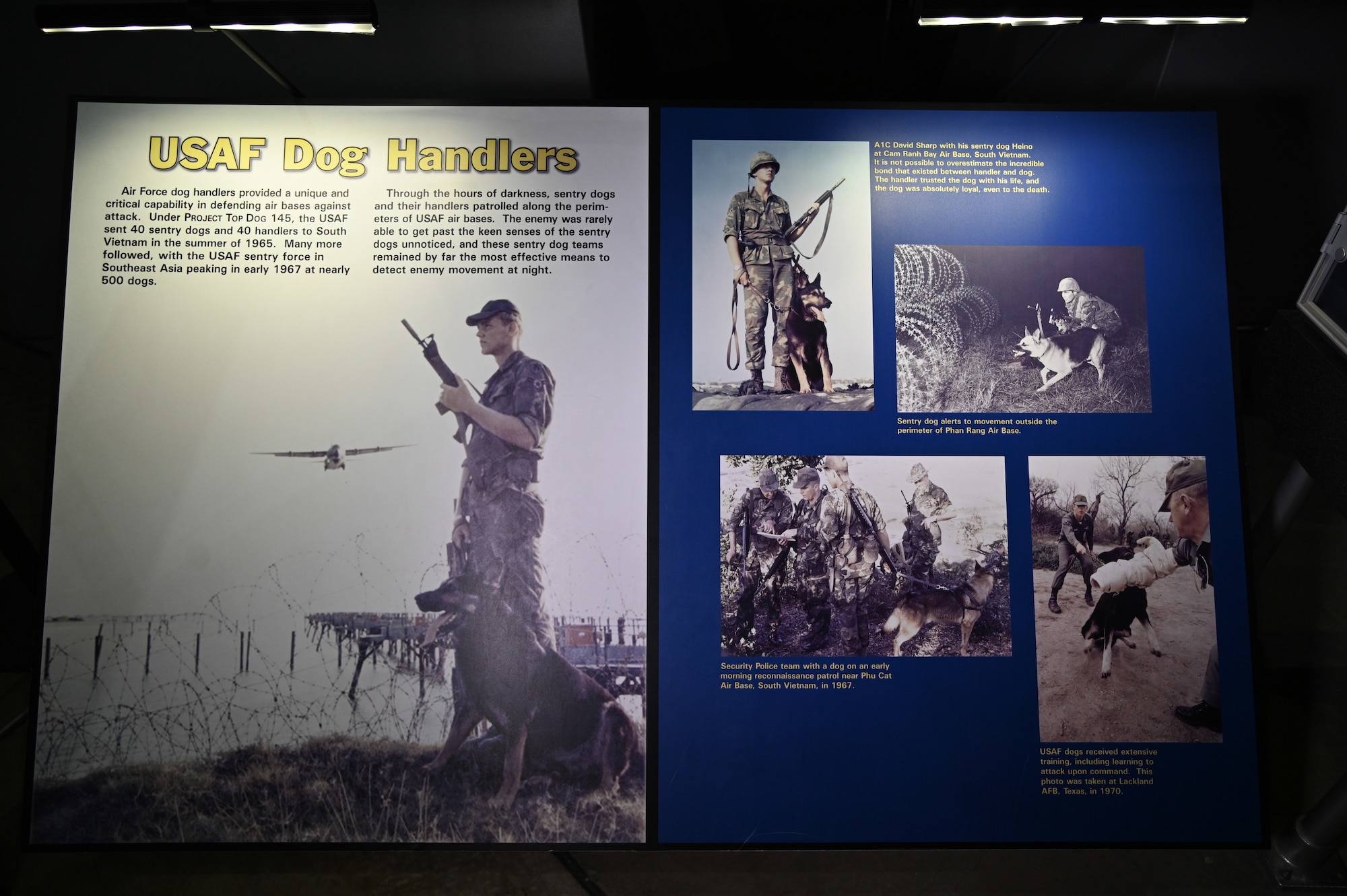 U.S. Air Force Dog Handlers