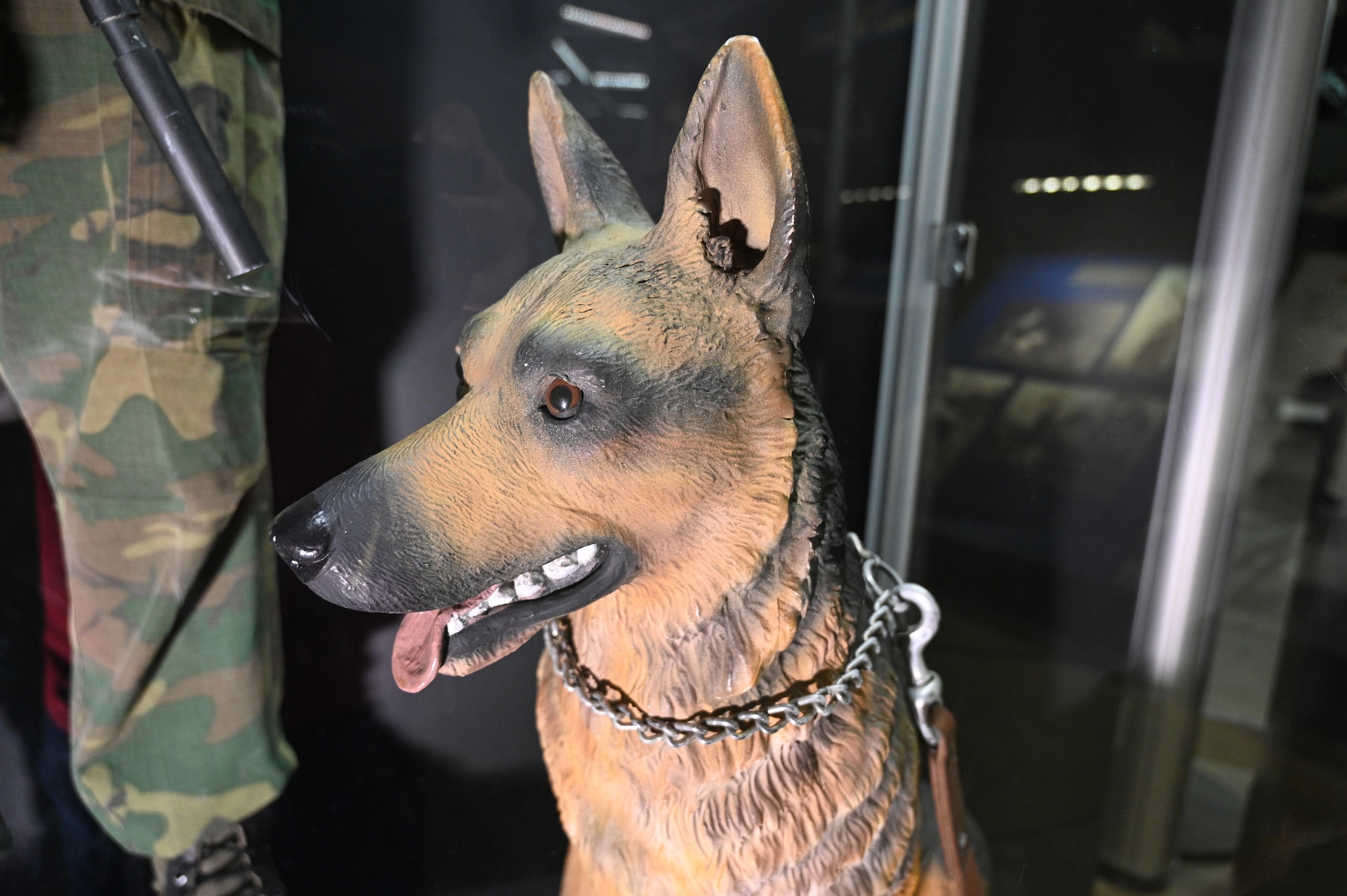 U.S. Air Force Dog Handlers