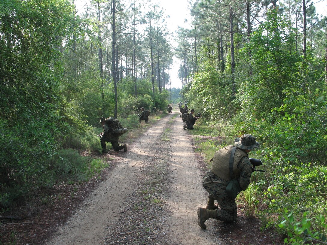 The Marines of MATSG-42 demonstrate a short security halt during a patrol exercise during a drill weekend at NAS Pensacola, Fla., March 31-April 1, 2012.