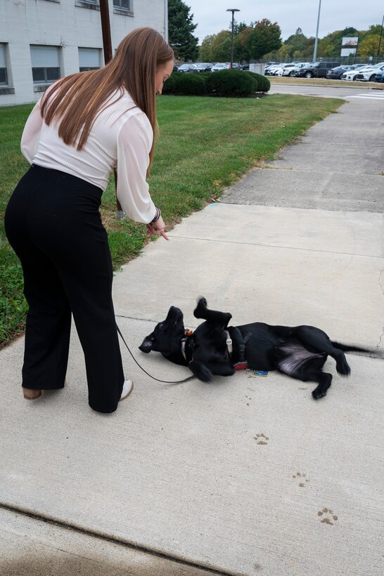 Woman interacts with training dog. (USAF photo by Jim Varhegyi).