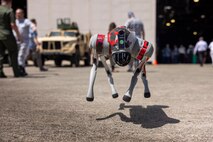 A quadruped robot demonstrates basic movements during the U.S. Indo-Pacific Command Pacific Operational Science and Technology Conference held at Marine Corps Base Hawaii, March 7, 2024. The conference brought Indo-Pacific area experts in science, technology, and security together to understand and successfully address operational issues and challenges across the region. (U.S. Marine Corps photo by Lance Cpl. Dezmond Browning)