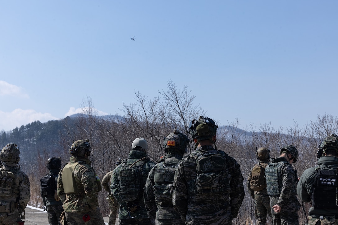 U.S. Marines with 5th Air Naval Gunfire Liaison Company, III Marine Expeditionary Force Information Group, Republic of Korea marines, and U.S. Airmen with 604th Air Support Operations Squadron tactical air control party examine a U.S. Marine Corps AH-1 Huey with Marine Light Attack Squadron 369 during a tactical air control party live fire range part of exercise Warrior Shield 24 on Pilsung Range, Gangwan Province, South Korea, March 18-21, 2024. Warrior Shield 24 is an annual joint, combined, exercise in the Republic of Korea that strengthens the combined defensive capabilities of ROK-U.S. Forces. This routine, regularly scheduled, field training exercise provides the ROK-U.S. Marines the opportunity to rehearse combined operations, exchange knowledge, and demonstrate the strength and capability of the ROK-U.S. Alliance. (U.S. Marine Corps photo by Cpl. Stephen Holland)