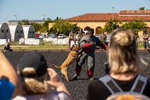 Educators with Recruiting Stations’ Albuquerque, Denver, Houston, and Salt Lake City participating in the 2024 Educator’s Workshop receive a demonstration on the role of K-9 military working dogs as part of the workshop , April 2, 2024 at Marine Corps Recruit Depot San Diego, California. Participants of the workshop visit MCRD San Diego to observe recruit training and gain a better understanding about the transformation from recruits to United States Marines. Educators also received classes and briefs on the benefits that are provided to service members serving in the United States armed services. (U.S. Marine Corps photo by Sgt. Trey Q. Michael)