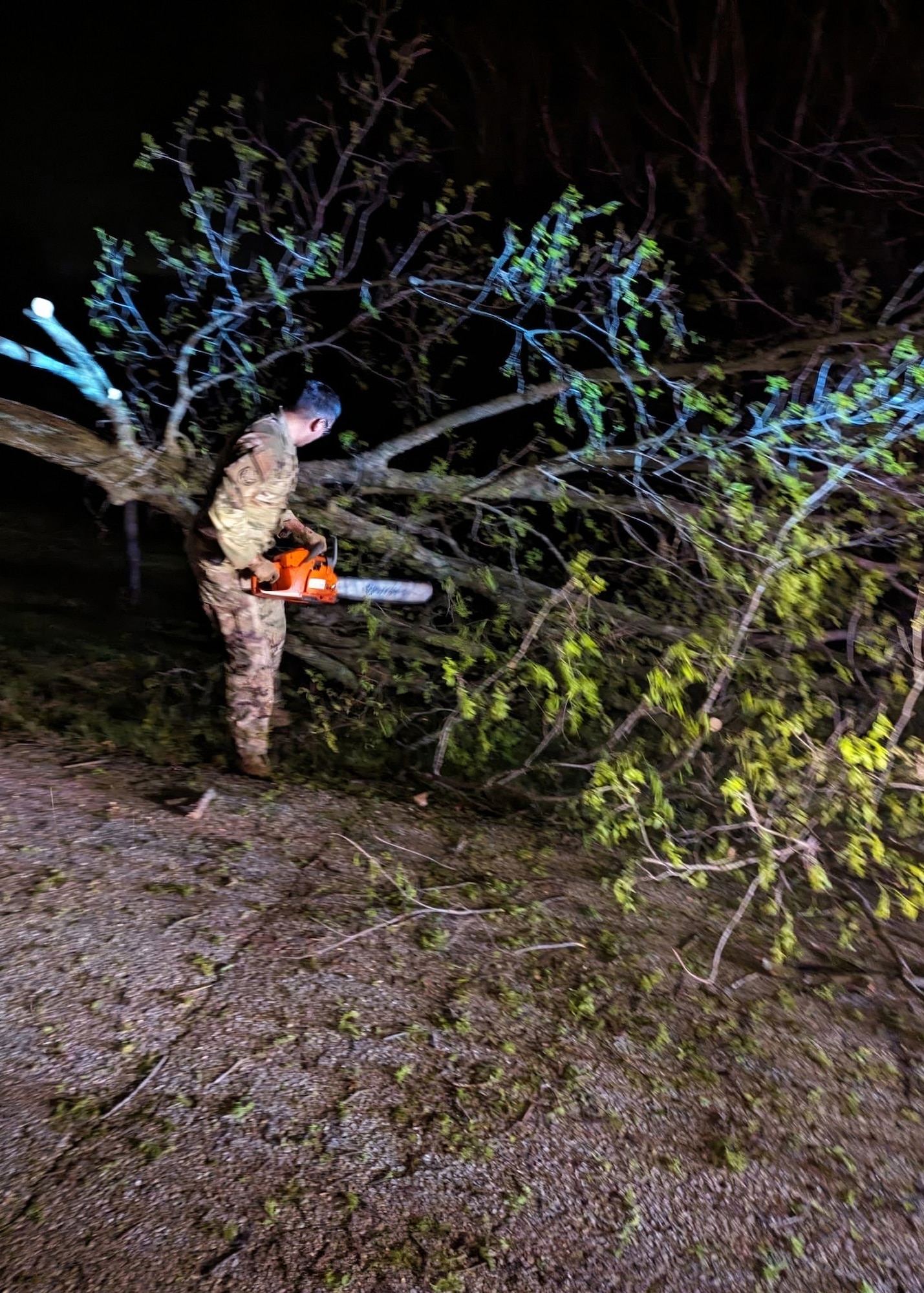 Fourteen members of the Kentucky Air National Guard’s 123rd Civil Engineer Squadron and 123rd Logistics Readiness Squadron clear roadways in Prospect, Ky., April 3, 2024, after multiple tornados touched down in the region. The Airmen removed multiple fallen trees that blocked access to about 100 homes. (U.S. Air National Guard photo by Senior Master Sgt. Brandon Hall)
