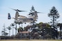 NAVAL AIR STATION NORTH ISLAND, Calif. (March 19, 2024) – A CMV-22B Osprey assigned to Fleet Logistics Multi-Mission Squadron (VRM) 30 takes flight during a functional check flight on Naval Air Station North Island, Calif., March 19, 2024. Functional check flights are part of the Navy’s deliberate, multi-phased, conditions-based approach for return to safe flight operations. VRM-30 is the U. S. Navy’s first CMV-22B Osprey squadron, established to begin the Navy’s transition from the C-2A Greyhound as the aircraft for providing logistics support to aircraft carriers.  (U.S. Navy photo by Mass Communication Specialist 1st Class Samantha P. Montenegro)