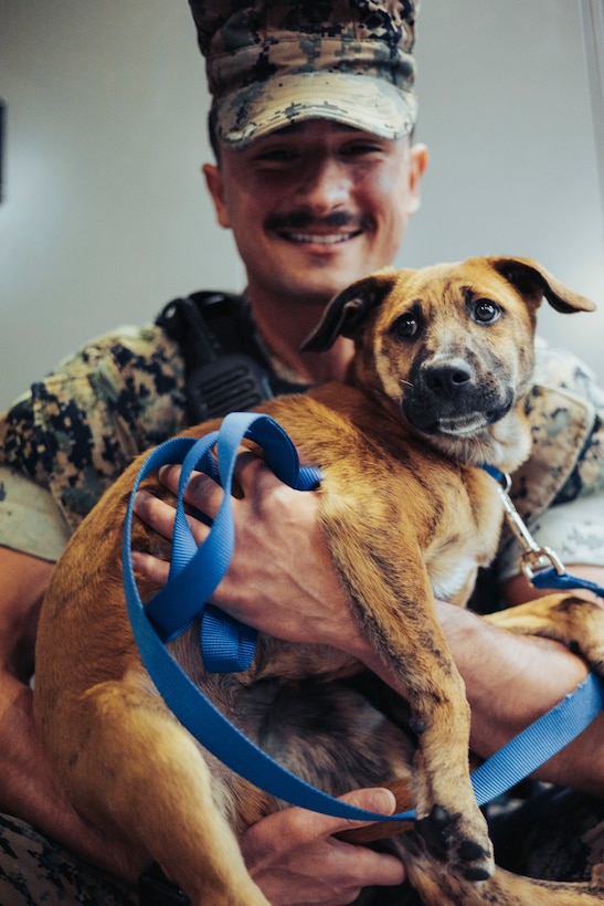 U.S. Marine Corps Cpl. Daniel Kunkel, a military police officer with the Provost Marshal’s Office, Headquarters and Support Battalion, Marine Corps Installations Pacific, holds Hemlock, a mixed-breed dog serving as PMO’s office and stress relief dog on Camp Foster, Okinawa, Japan, March 21, 2024.