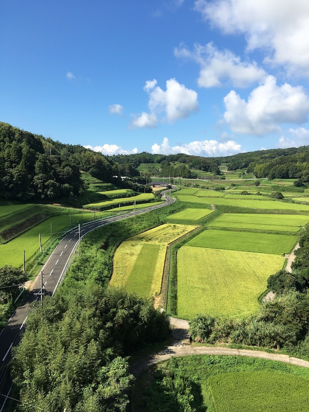 Sasebo Japan Rice fields.