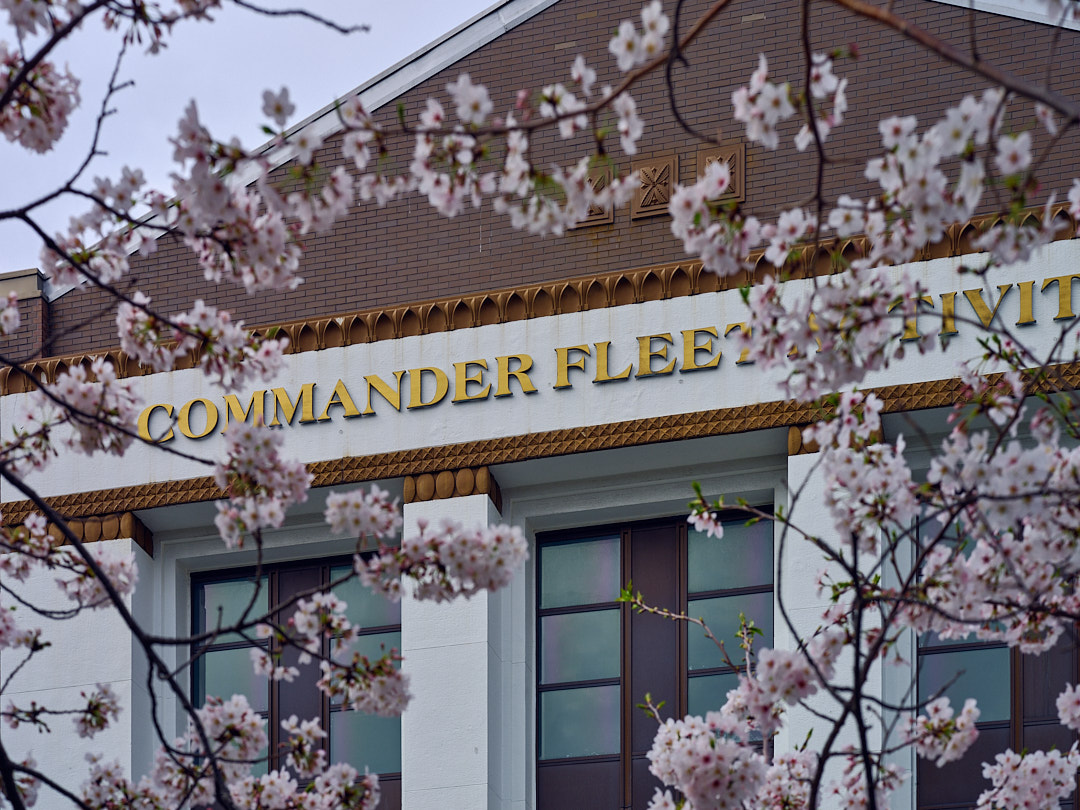 The Commander, Fleet Activities Yokosuka headquarters building sits above the cherry trees on the installation's Command Hill April 8, 2024.