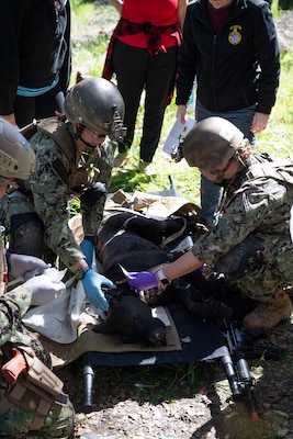 LT Rebecca Smith, assigned to En-route Care System (ERCS) Bravo (left) and LCDR Michelle Caskey (right), assigned to Emergency Resuscitative Surgical System (ERSS) Bravo checks vitals on a simulated a TraumaFX Canine Medical Trainer as part of an Operational Readiness Evaluation (ORE) of Navy EXMED capabilities at Naval Expeditionary Medical Training Institute (NEMTI), March 17. The trainer is a lifelike medical training tool that can breathe, bleed, and bark like a real dog. Military working dogs are integral to both conventional and special operations forces throughout the military and emergency life-saving interventions are practiced to ensure they receive the same combat ready response as their two-legged servicemembers. ERSS, and ERCS components of Navy’s expeditionary medicine capabilities that provide a ready, rapidly deployable and combat effective medical force to improve survivability across the full spectrum of care, regardless of environment. and provides targeted lifesaving interventions to patients onboard platforms and in austere environments without clinically compromising the patients’ condition. The Navy Medicine Operational Training Command (NMOTC) is the Navy’s leader in operational medicine and trains specialty providers for aviation, surface, submarine, expeditionary, and special operations communities. (U.S. Navy photo by Mass Communication Specialist 1st Class Russell Lindsey SW/AW)