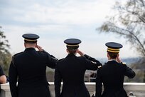 Three Army soldiers in dark service uniforms are facing away from the camera and saluting.