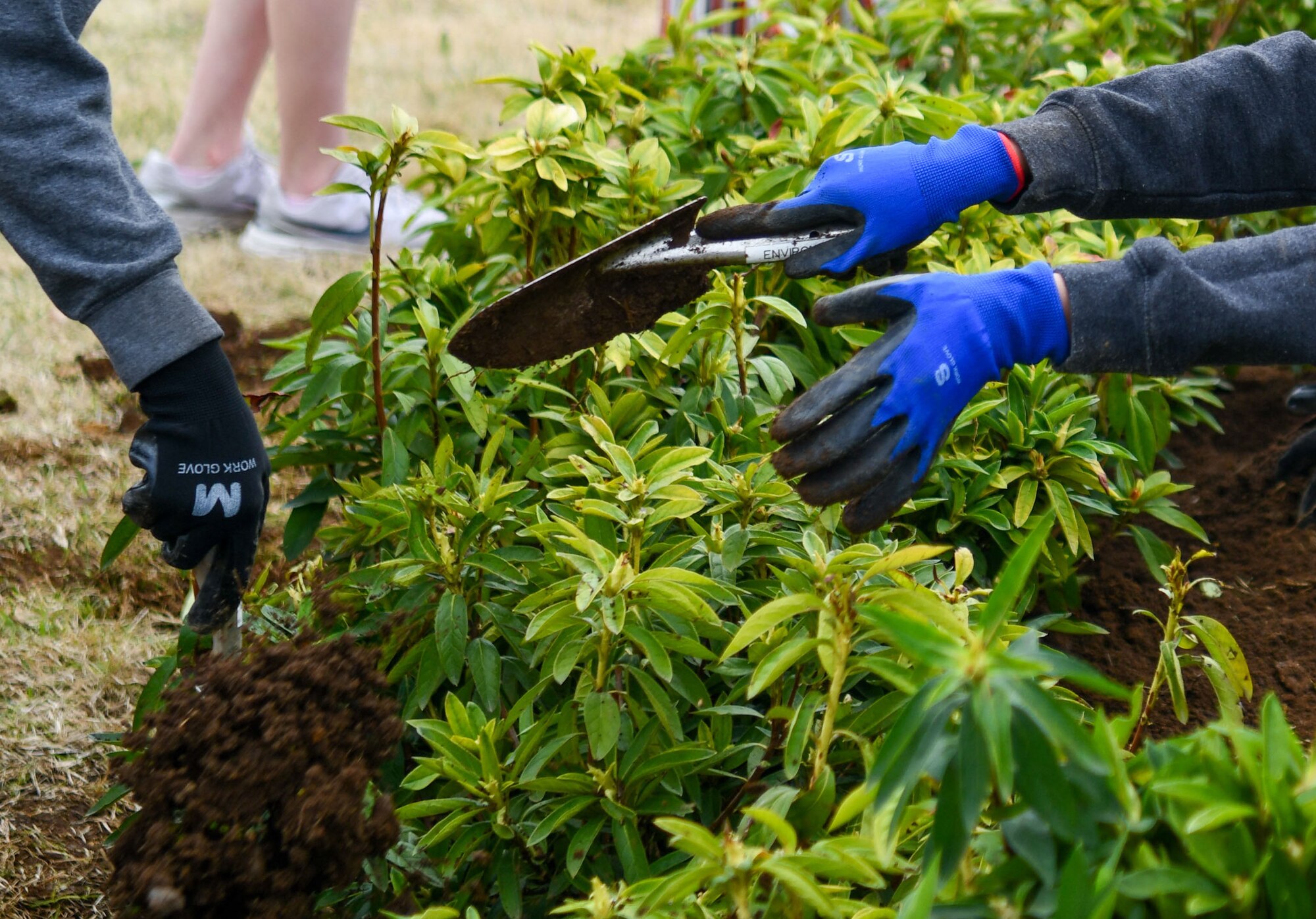 Students plant flowers.