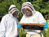 Veterans are amazed as they see the fruits of their labor at Docs Healing Hives in North Georgia.