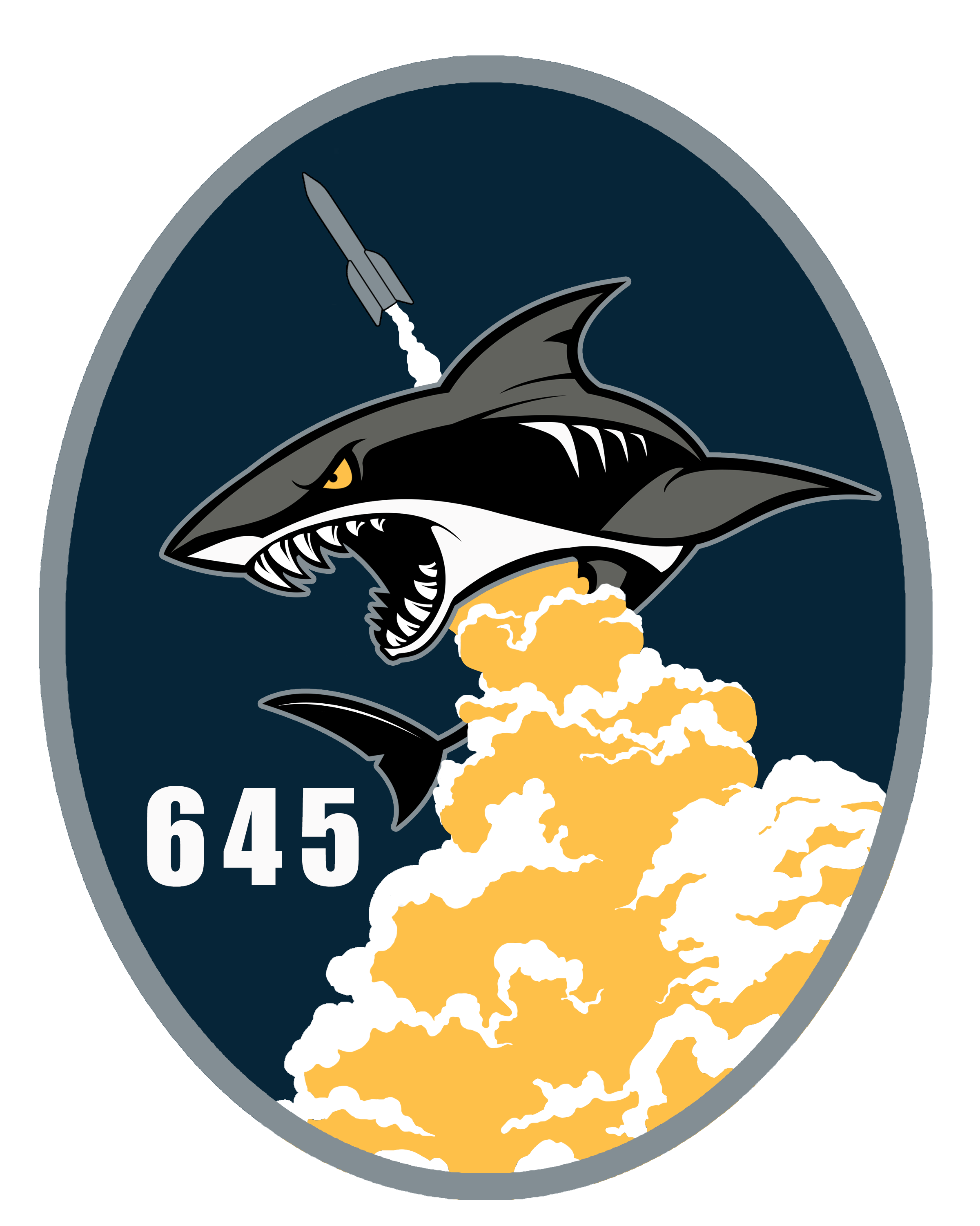 645th Cyberspace Squadron > United States Space Force > Fact Sheet Display