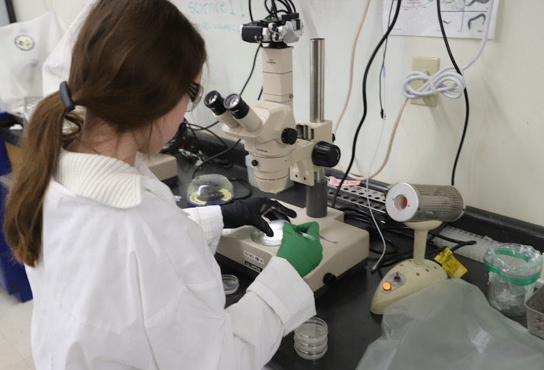 A New Hampshire Academy of Science (NHAS) student conducting research.