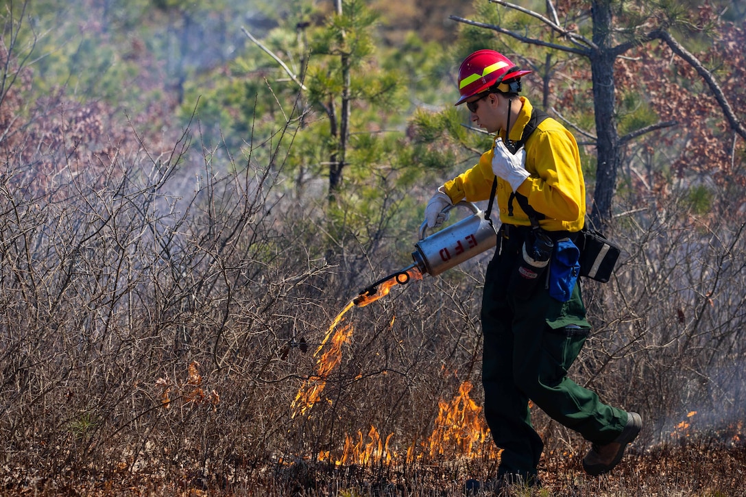 A National Guardsman uses a drip torch to start a fire in a wooded area.