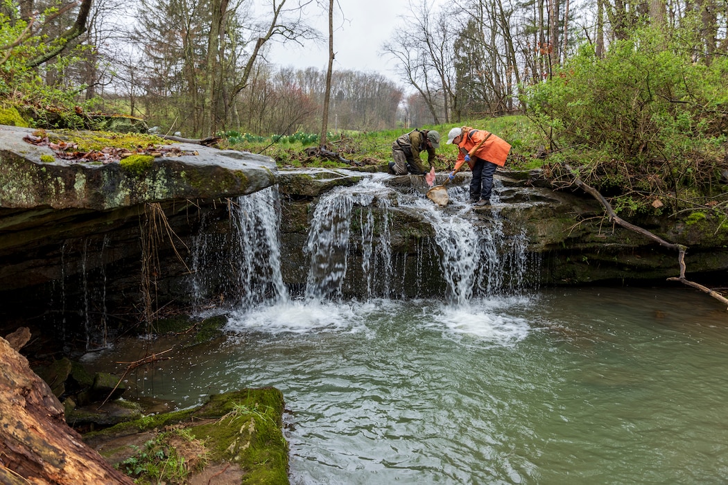 Biologists work on a small waterfall to collect biological samples to test water quality.