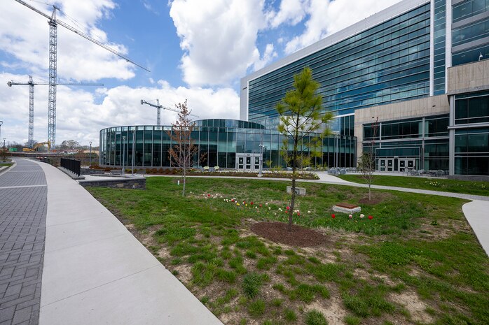 As construction continues on NSA/CSS Washington’s (NSAW) East Campus, hundreds of native trees have been planted as part of the agency’s reforestation effort.