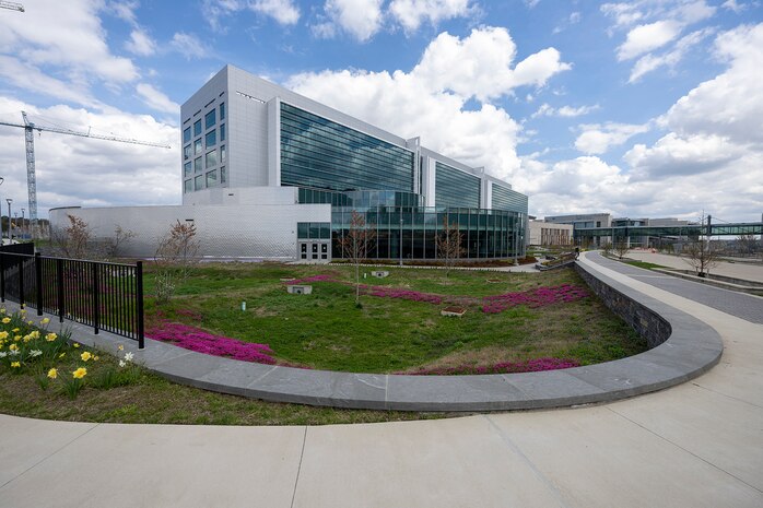 As construction continues on NSA/CSS Washington’s (NSAW) East Campus, hundreds of native trees have been planted as part of the agency’s reforestation effort.