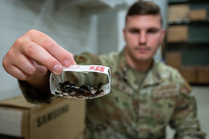 An insect trap is being shown by U.S. Air Force Senior Airman Christopher Cauldwell, 633d Civil Engineer Squadron pest management journeyman, at Joint Base Langley Eustis, Dec. 4, 2023. Insect traps often utilize pheromones, chemical signals emitted by insects, to attract and capture specific pests, providing a targeted and eco-friendly approach to pest management. (U.S. Air Force photo by Airman 1st Class Skylar Ellis)