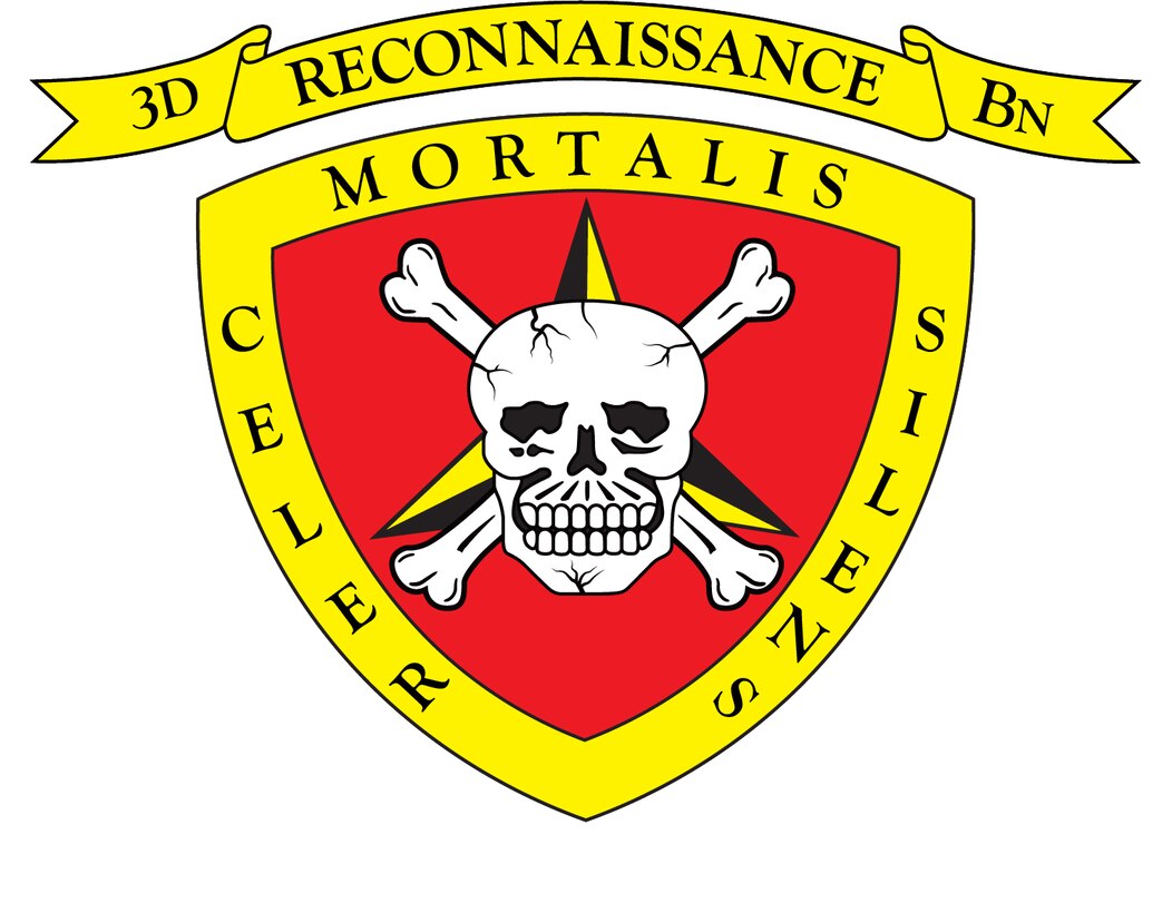 An identity design created for 3d Reconnaissance Battalion on July 20, 2023, at Camp Courtney, Okinawa, Japan. The mission of 3d Reconnaissance Battalion is to conduct amphibious reconnaissance, ground reconnaissance, surveillance, battlespace shaping, and specialized raids in support of the Marine Division and its subordinate elements, or a designated Marine Air-Ground Task Force. (U.S. Marine Corps graphic by Lance Cpl. John J. Simpson)