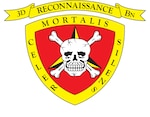 An identity design created for 3d Reconnaissance Battalion on July 20, 2023, at Camp Courtney, Okinawa, Japan. The mission of 3d Reconnaissance Battalion is to conduct amphibious reconnaissance, ground reconnaissance, surveillance, battlespace shaping, and specialized raids in support of the Marine Division and its subordinate elements, or a designated Marine Air-Ground Task Force. (U.S. Marine Corps graphic by Lance Cpl. John J. Simpson)