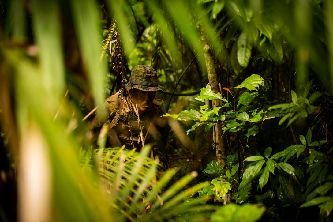 A Marine camouflaged in a lush jungle.