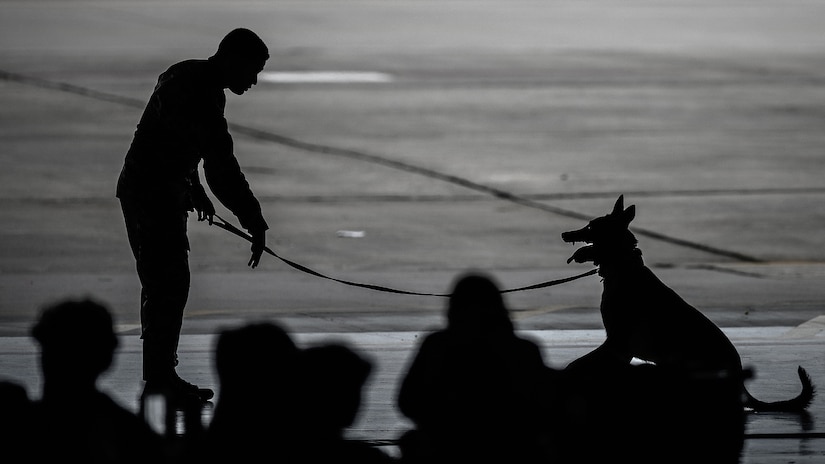 An 87th Security Forces Squadron member showcases their military working dog during the Student Engagement and Career Day event at Joint Base McGuire-Dix-Lakehurst, N.J., April 19, 2024. The event is meant to inspire and motivate the next generation of future service members through a positive and lasting impact. (U.S. Air Force photo by Staff Sgt. Austin Knox)