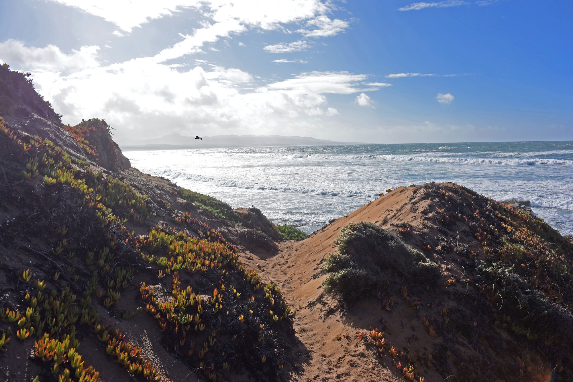 Reddish brown sand dunes carve across the bottom half of frame and lead toward a beachscape lit under sunny blue sky.