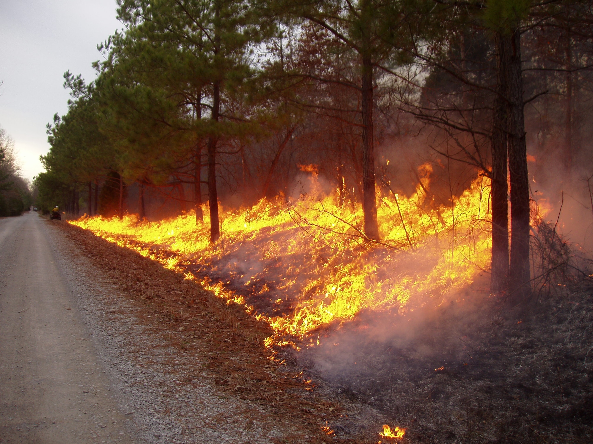 This prescribed fire shown at Arnold Air Force Base, Tenn., is a necessary process that promotes new growth by removing dead vegetation and suppressing wood species that would eventually grow into a forest in the absence of fire. (U.S. Air Force photo)
