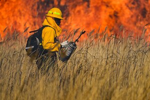 Airman 1st Class Marcellous Faustin, 775th Civil Engineer Squadron firefighter, works a prescribed burn at the Ogden Bay Waterfowl Management Area, Utah, April 12, 2024. The burn addressed an approximately 2,000-acre area of invasive phragmites weeds.  Burning is the most thorough, fastest and least costly way to help renew and restore the area for wildlife. (U.S. Air Force photo by R. Nial Bradshaw)