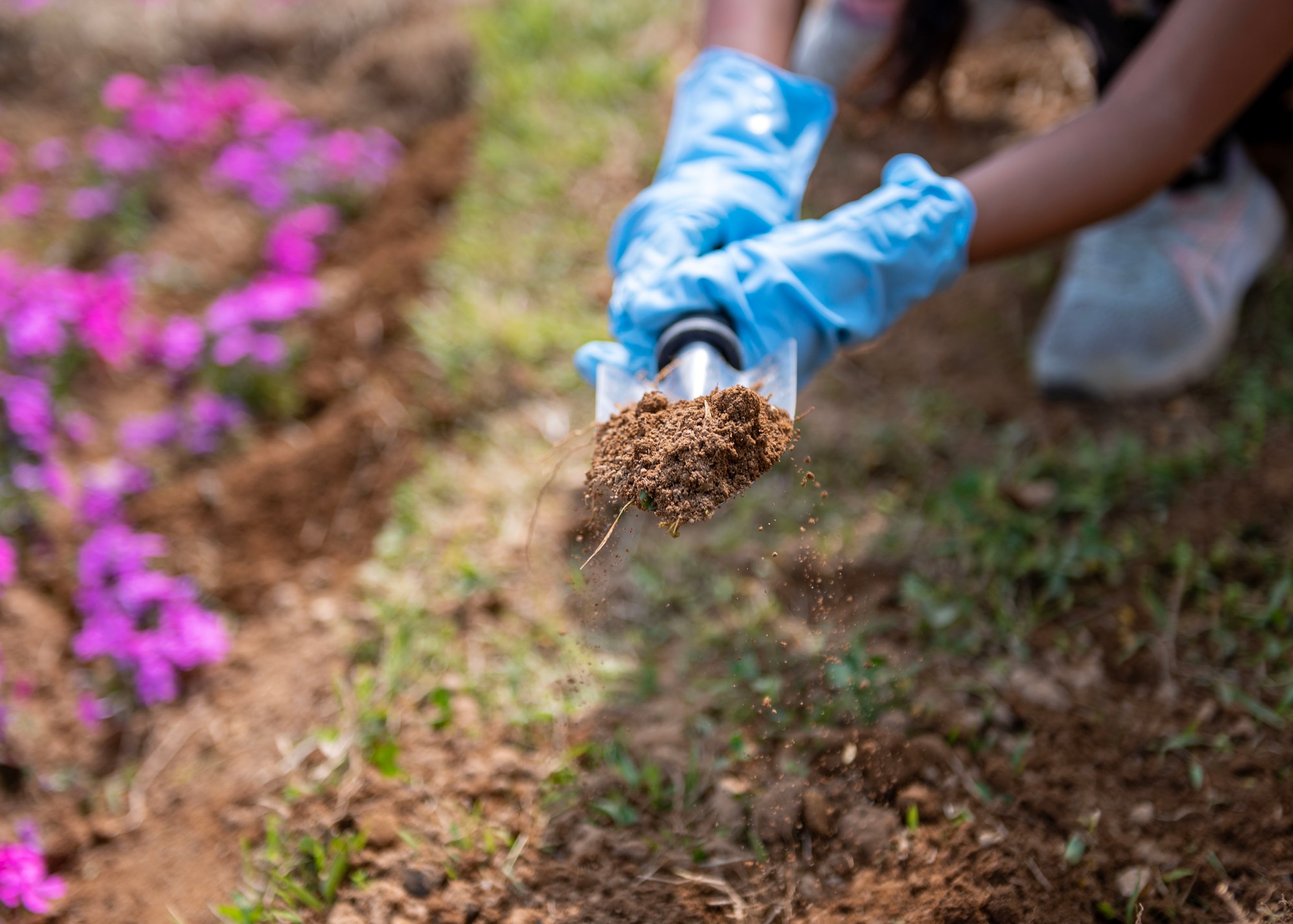 A member of Osan Girl Scouts uses a shovel to move dirt and plant flowers during an Earth Day planting event April 19, 2024 at Osan Air Base, Republic of Korea. Each April, the Department of the Air Force recognizes Earth Day to highlight the importance of protecting and stewarding the natural environment for the execution of the mission and the betterment of the planet. (U.S. Air Force photo by Staff Sgt. Aubree Owens)