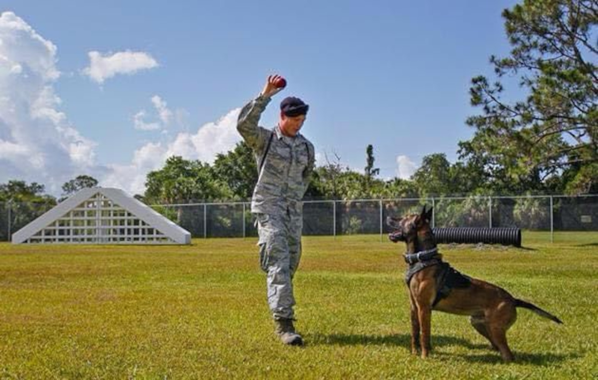 An Airman trains a military working dog