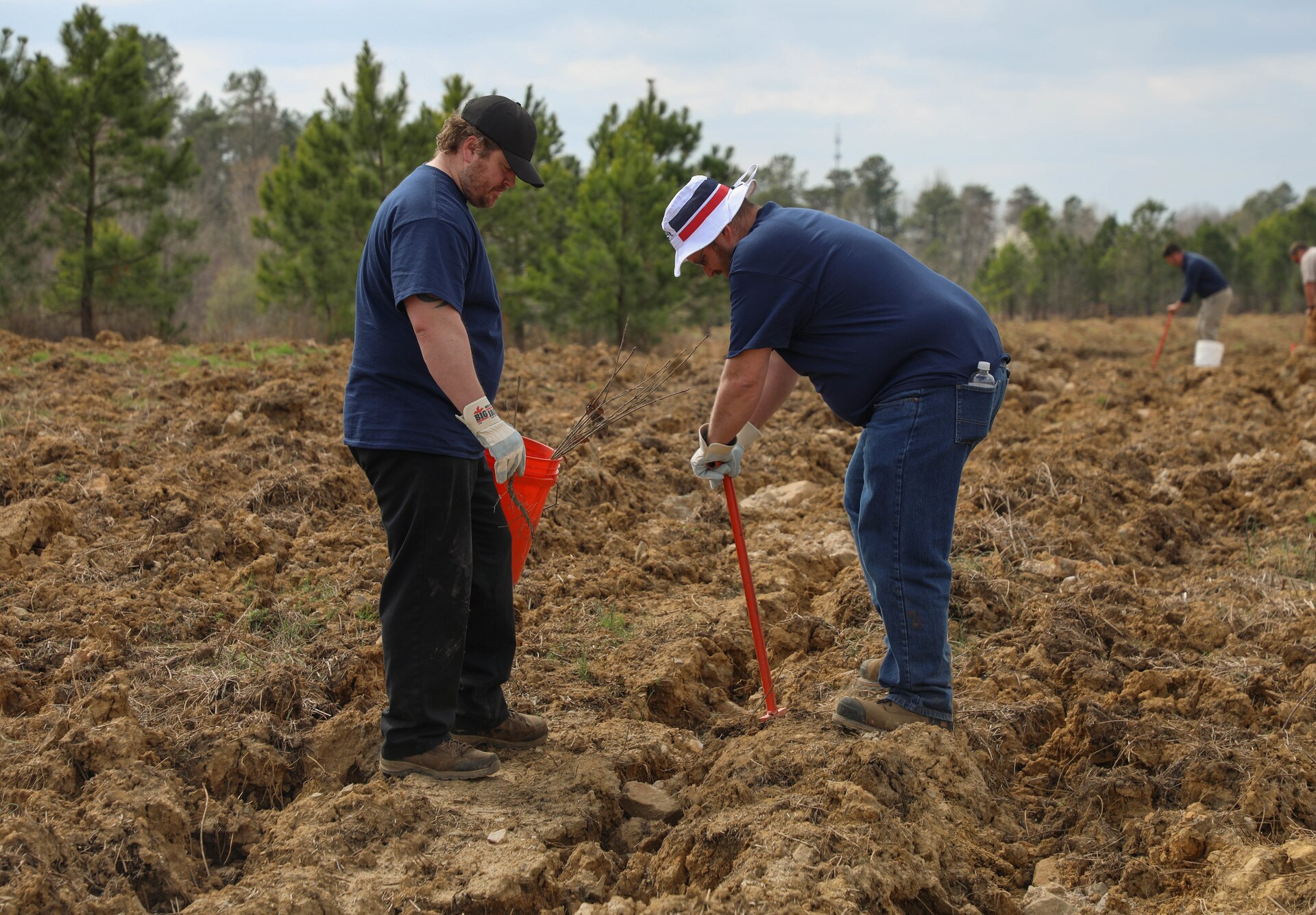 All the trees to be planted were purchased by Beam Suntory in efforts reclaim the old mind land and build something sustainable for the foreseeable future.