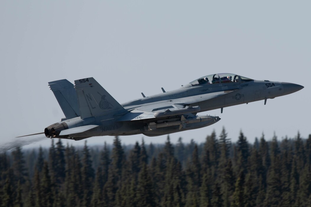 An EA-18G Growler assigned to the Electronic Attack Squadron (VAQ) 131 takes flight.