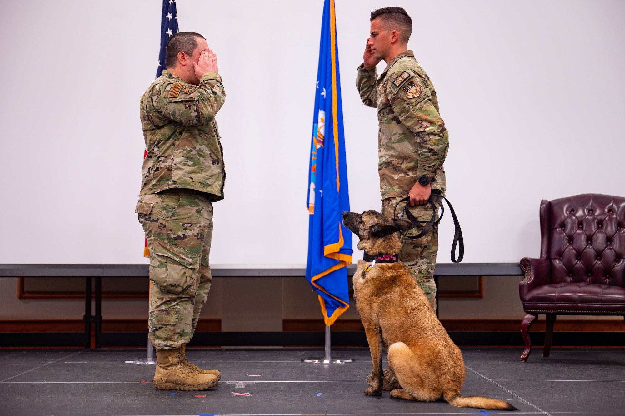 FFarah, military working dog, retires after 10 years of dedication to USAF