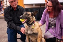 FFarah, military working dog, retires after 10 years of dedication to USAF