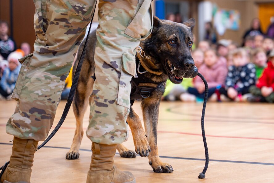 Malmstrom kennel performs demo for local elementary school