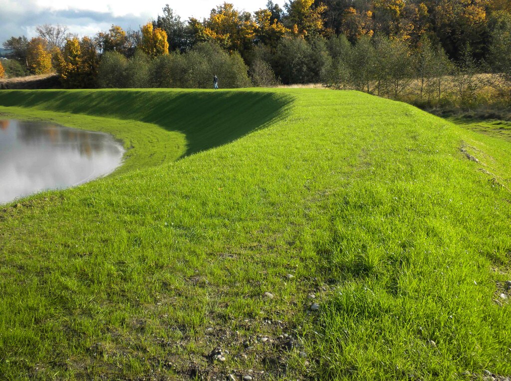 Levees are a vital part of modern flood risk management. They are part of flood defense systems that may also include flood walls, pumping stations, gates closures, and other associated structures. These elements work together to reduce risk to human life and reduce economic damages from flood events.