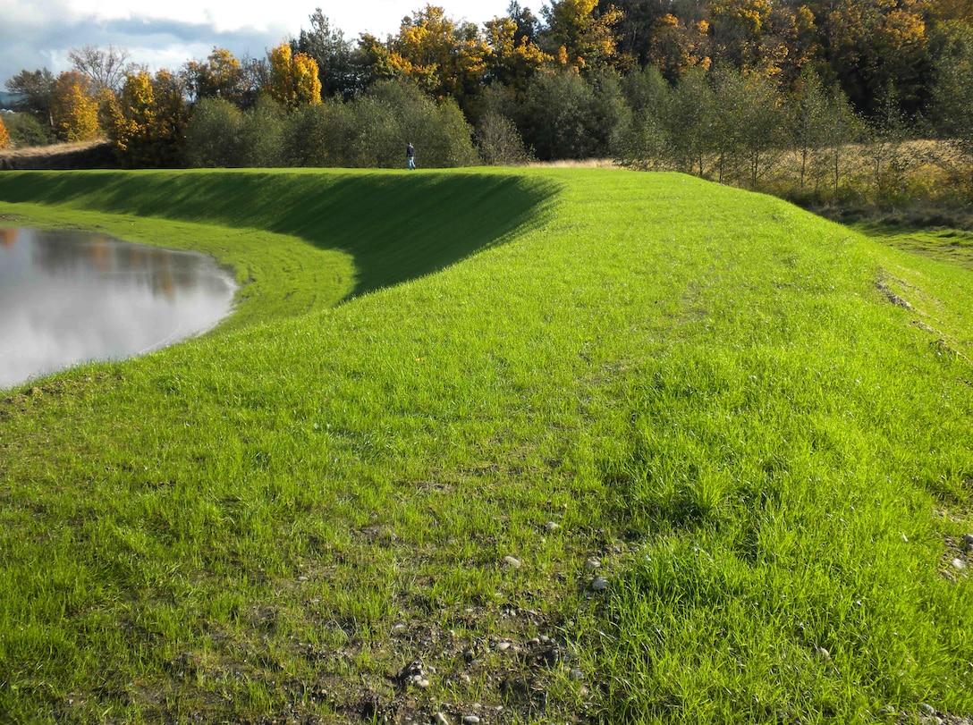 Levees are a vital part of modern flood risk management. They are part of flood defense systems that may also include flood walls, pumping stations, gates closures, and other associated structures. These elements work together to reduce risk to human life and reduce economic damages from flood events.