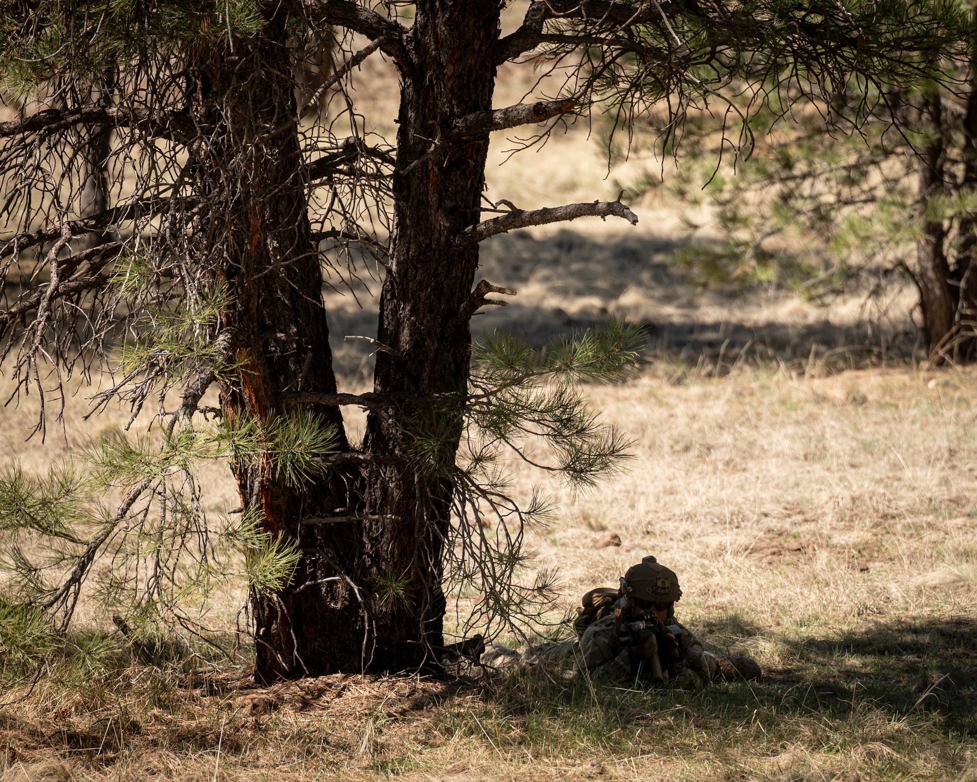 U.S. Air Force Senior Airman Aris Hillsman-Jackson, 56th Civil Engineer Squadron Explosive Ordnance Disposal flight technician, participates in an infiltration scenario during exercise Operation Pegasus at Camp Navajo, Arizona, April 21-26, 2024.