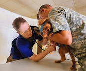 Army Reserve provides medical, veterinary care